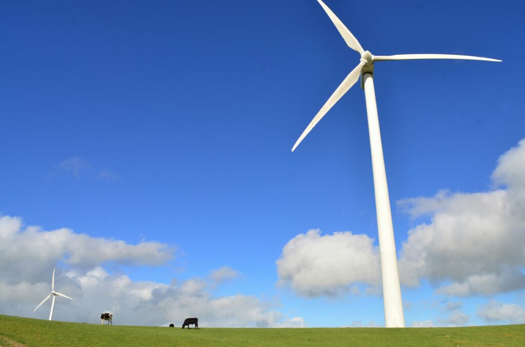 jonny-clow-windmolen_unsplash